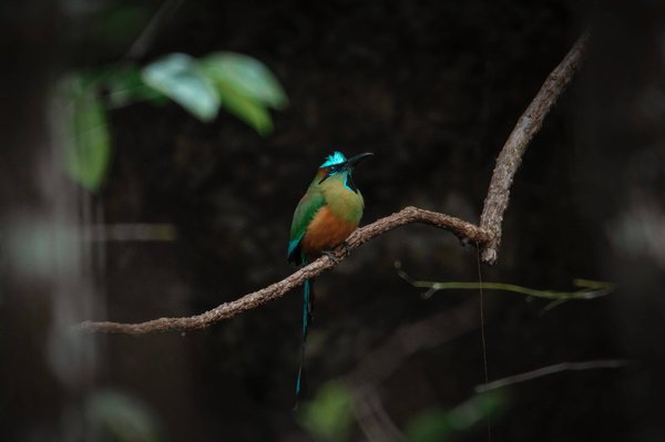 Comment adapter son régime alimentaire à ses besoins nutritionnels en vieillissant ?