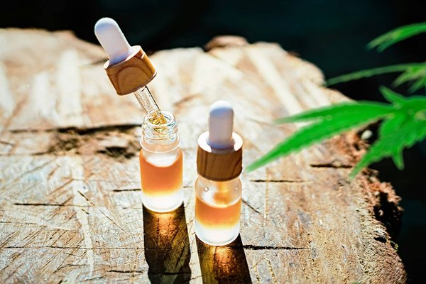 Entrer dans le monde du chanvre : un guide pour les débutants